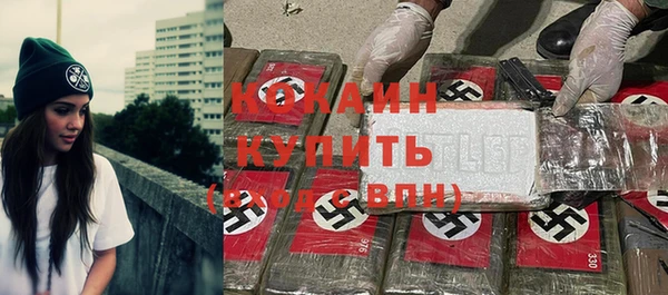 шишки Балабаново