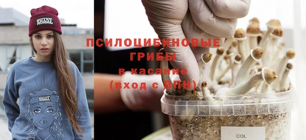 шишки Балабаново