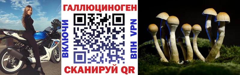 Галлюциногенные грибы GOLDEN TEACHER  blacksprut как войти  Белинский  наркотики 